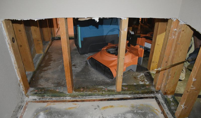 Crawlspace Water Removal