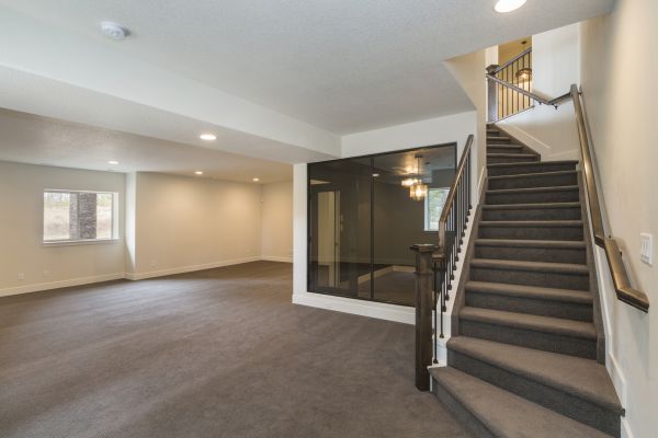 Basement Restoration Service in Joliet