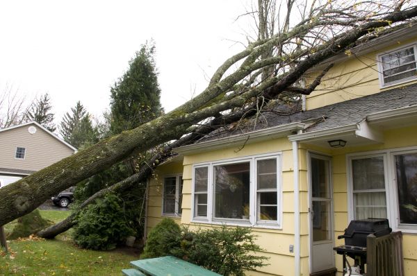 Hurricane Damage Repair in Joliet