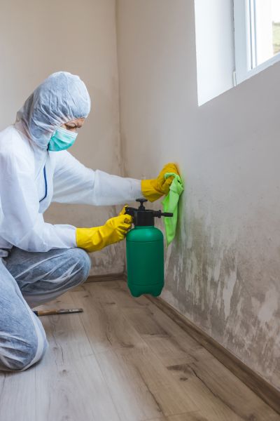 Moisture Removal Service